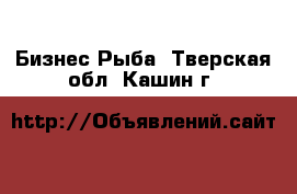 Бизнес Рыба. Тверская обл.,Кашин г.